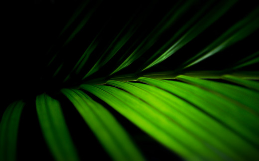 479654 (a): :2560x1600